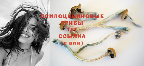 дурь Верхний Тагил