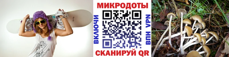 Псилоцибиновые грибы мухоморы  дарнет шоп  Королёв 