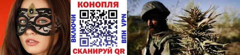 Бошки марихуана сатива  Королёв 